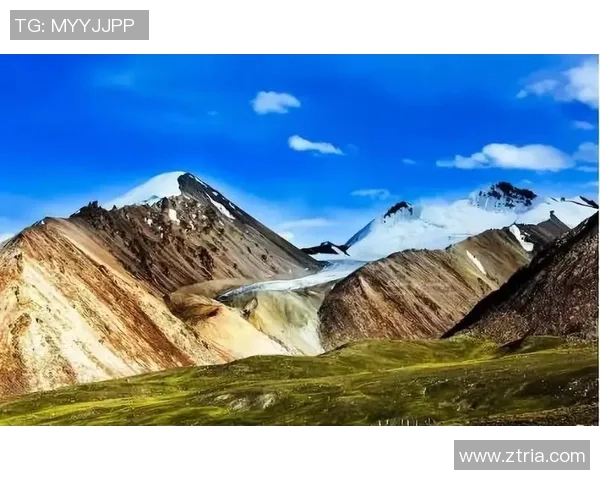 新疆与广东在各领域的对比分析及其影响力探讨