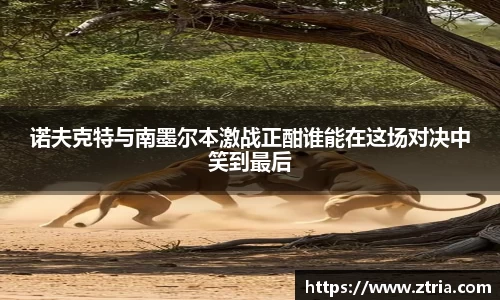 lewin乐玩官网版